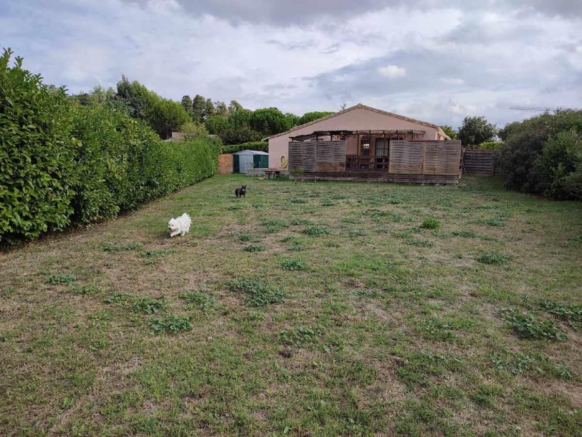 Le Cosy Occitan Villa Chaleureuse Independante Baignoire Terrasse Jardin قرقشونه المظهر الخارجي الصورة